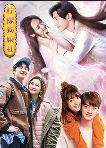 《柠檬狗粮社》：当爱与责任碰撞，一场关于选择与成长的治愈系萌宠奇遇记